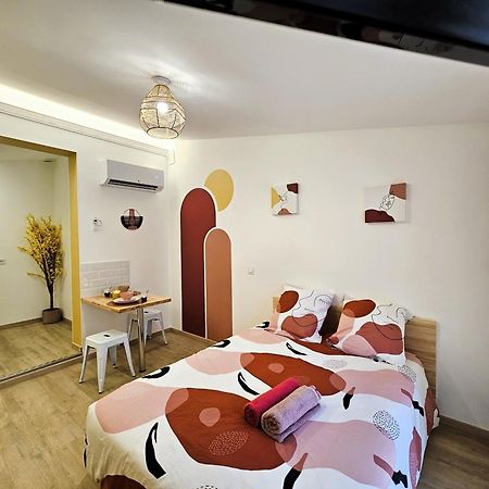 Tout Confort ! Centre-Ville, Climatisation, Parking, Wifi, Calme, Tv Καρκασόν Εξωτερικό φωτογραφία