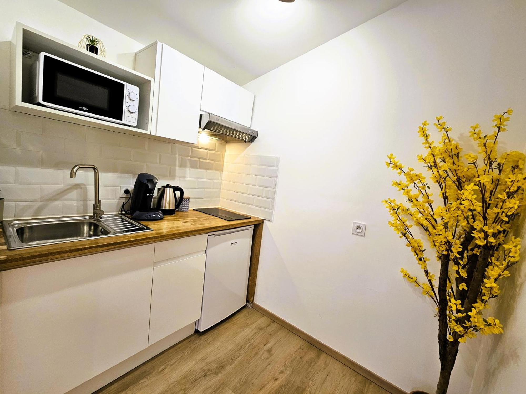 Tout Confort ! Centre-Ville, Climatisation, Parking, Wifi, Calme, Tv Καρκασόν Εξωτερικό φωτογραφία